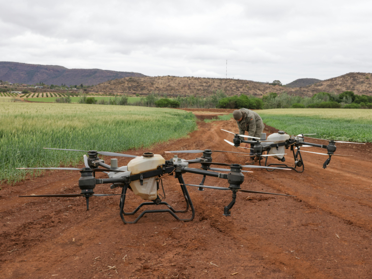 What Is Drone Surveying?