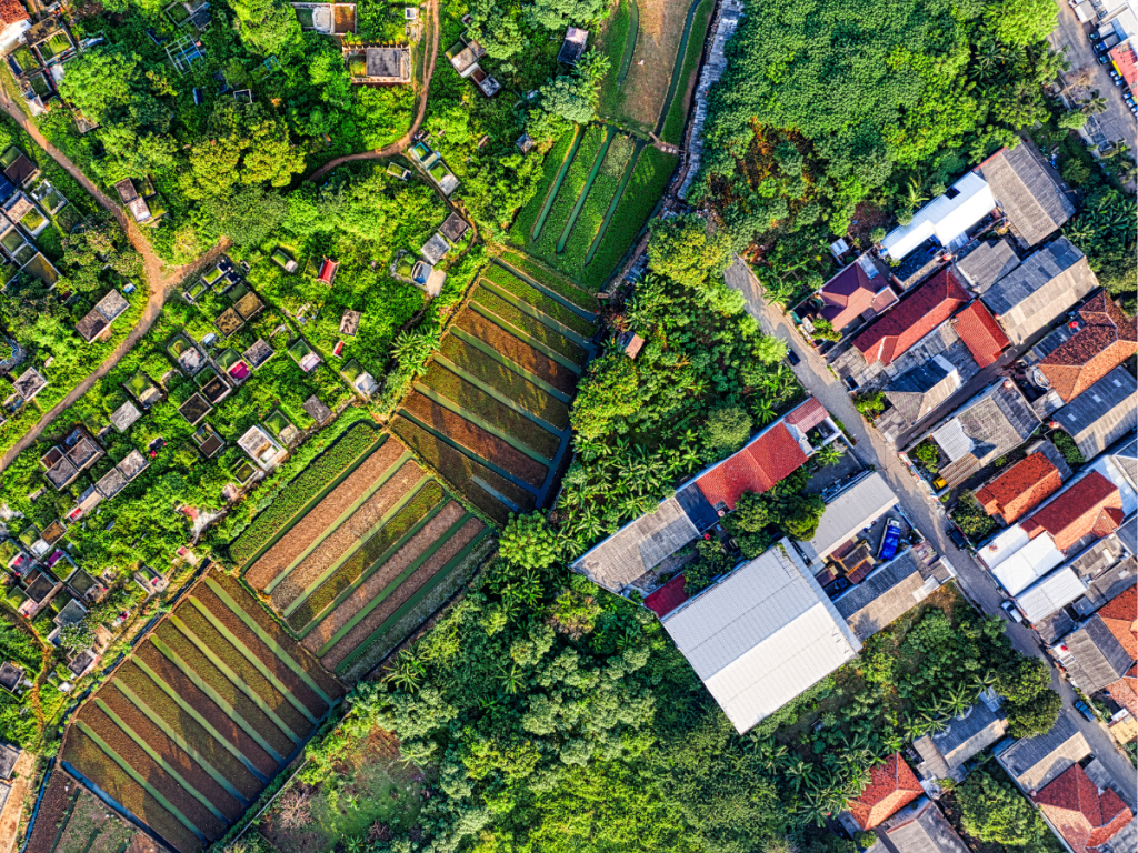 What Is Monitoring Surveying?