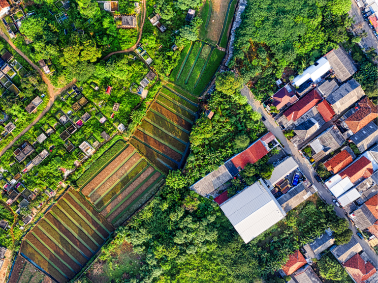 What Is Monitoring Surveying?