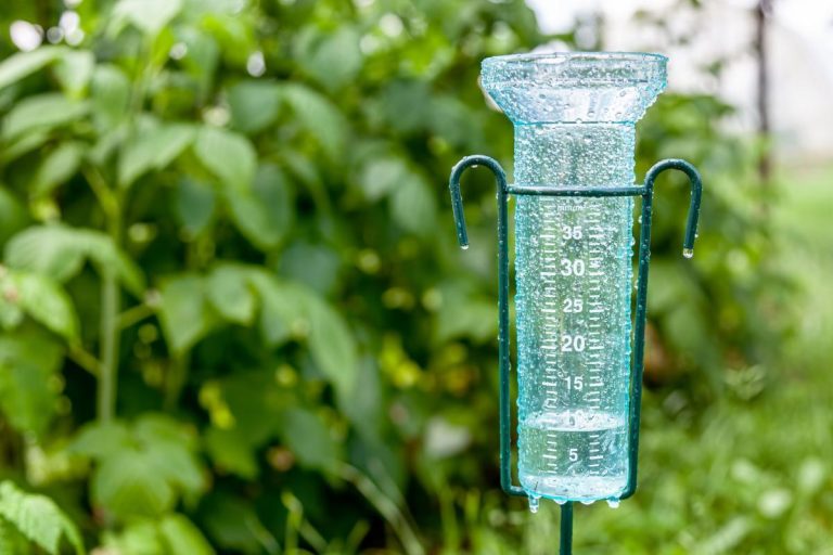 professional meteorological rain gauge